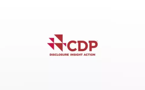 logo-cdp.webp